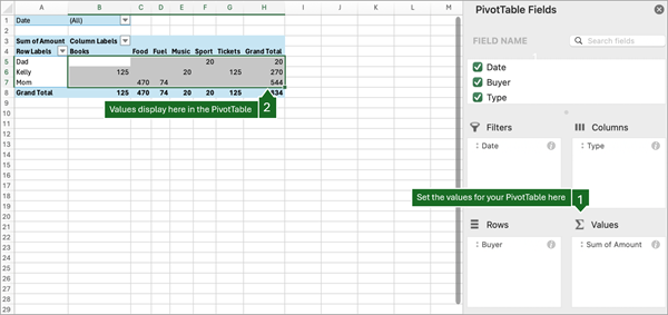 Excel for Mac PivotTable with Sum of Amount in the Values area