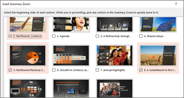 Screenshot of Insert Summary Zoom.