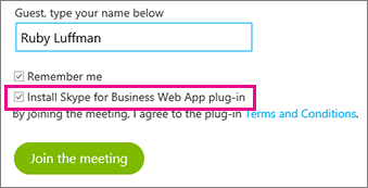 Make sure Install the Skype for Busiiness Web App plug-in checked