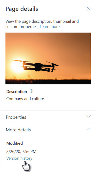 Screenshot of the version history link under page details