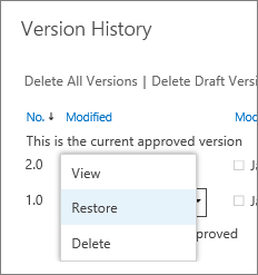 Version item menu