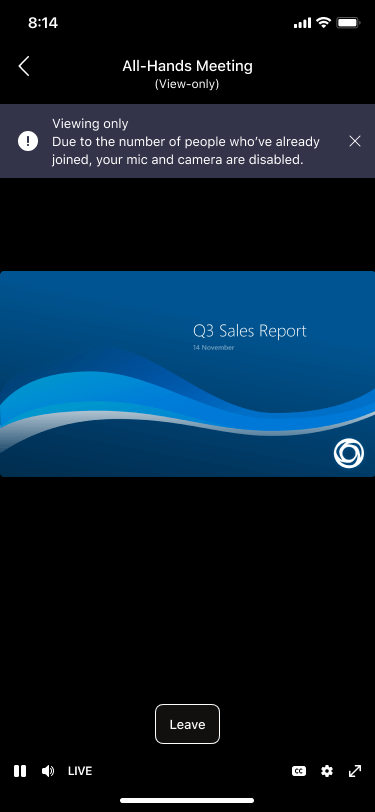 Mobile meeting screen for a view-only attendee